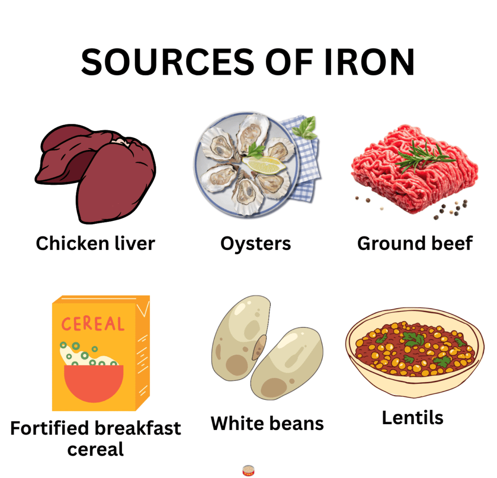 sources of iron