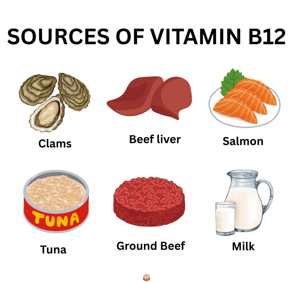 vitamin b12 sources