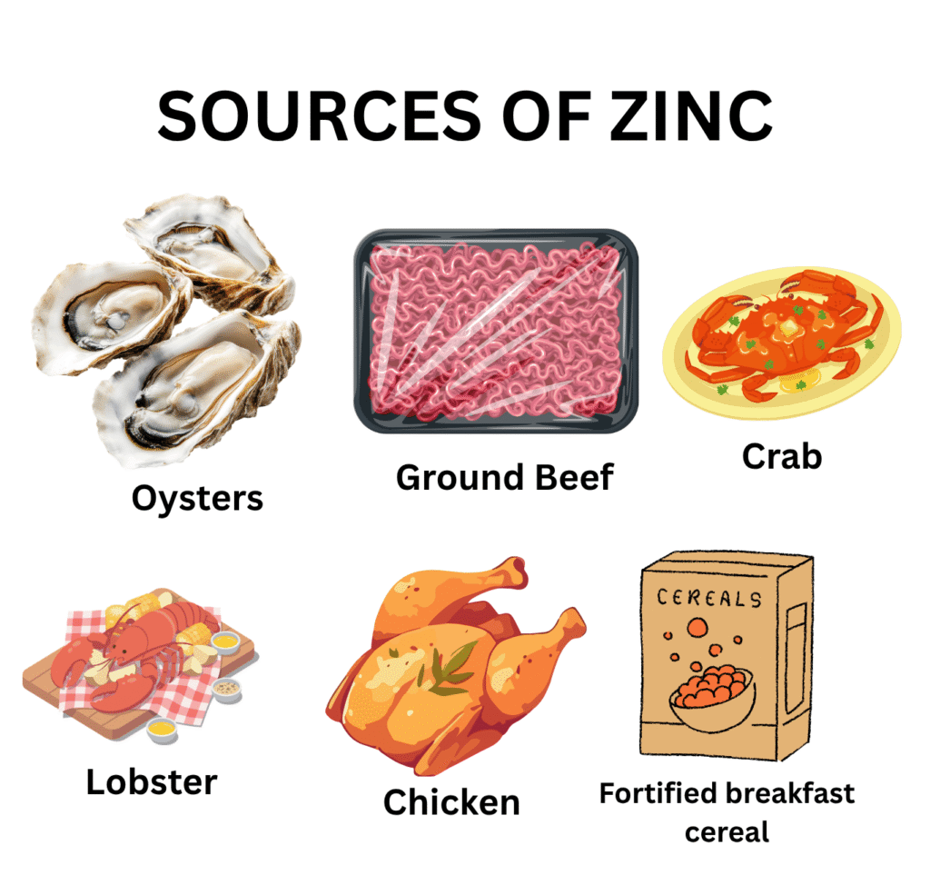 sources of zinc