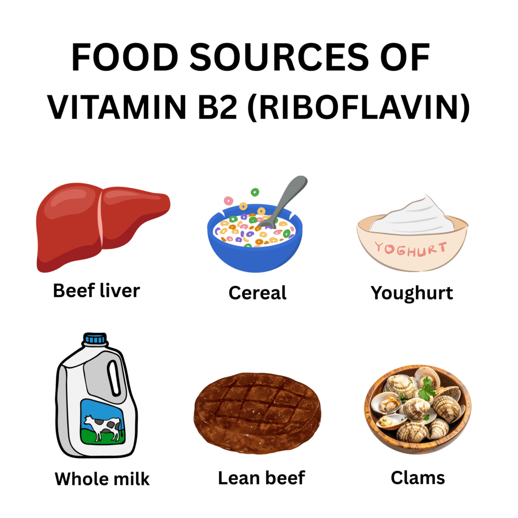 sources of vitamin b2