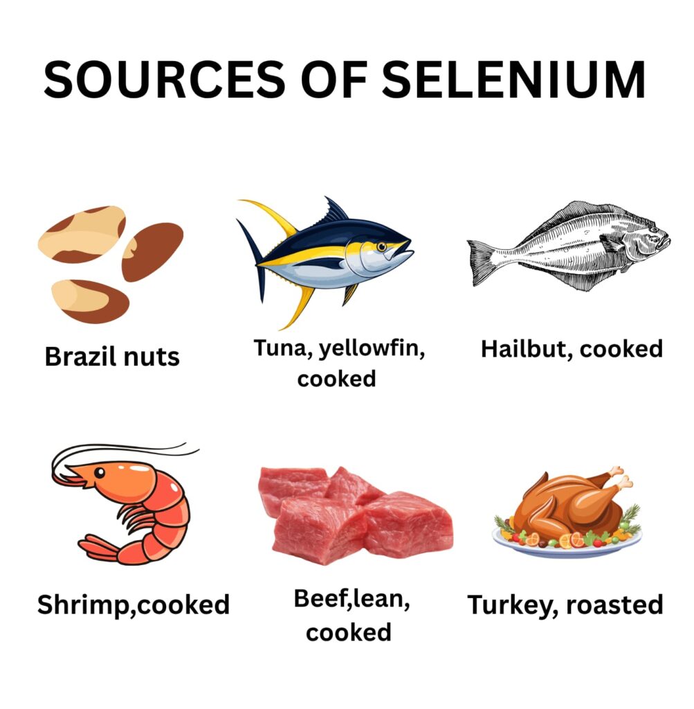 sources of selenium